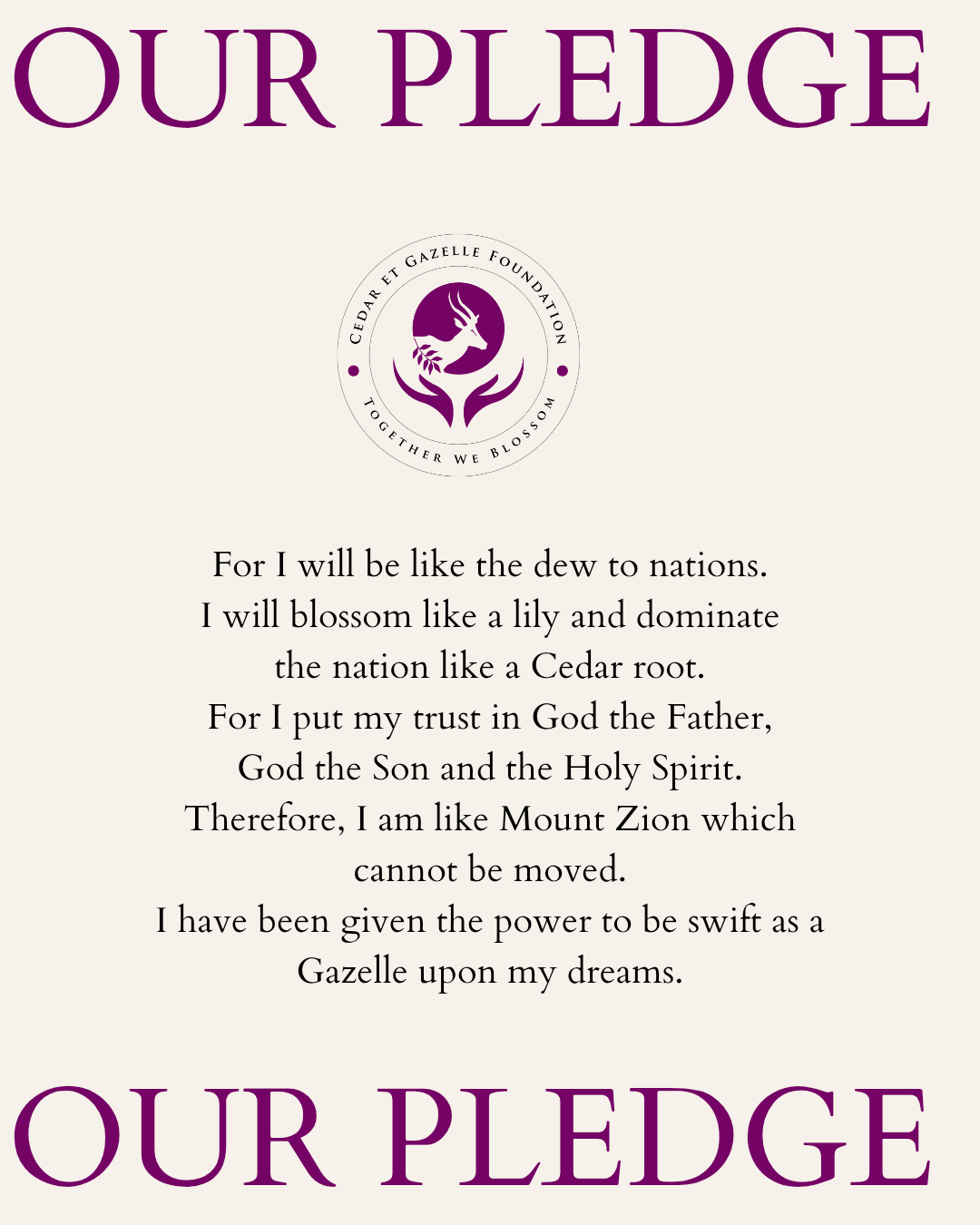 Our Pledge